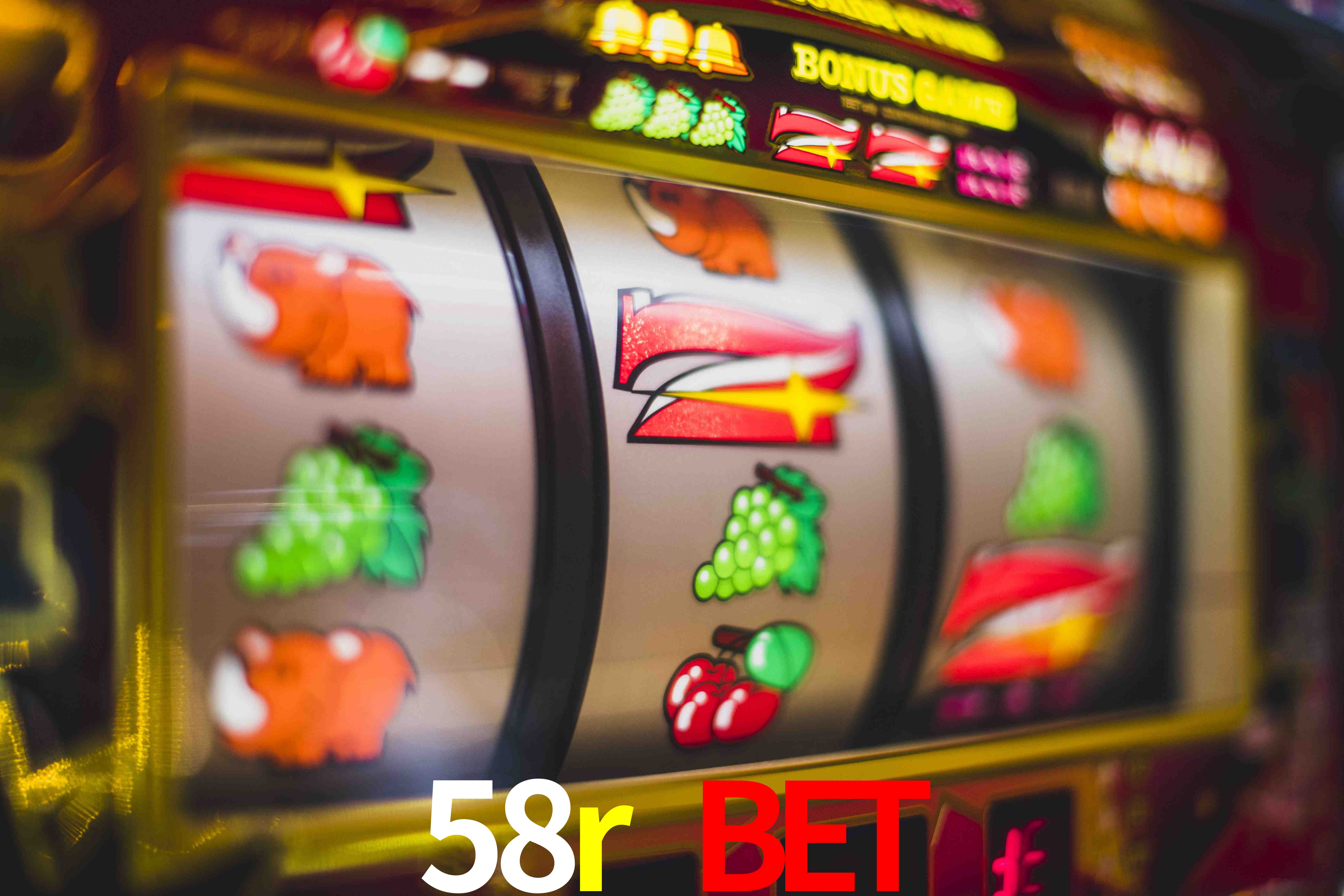Experiência VIP 58r bet
